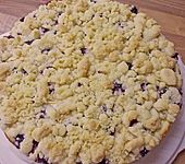 Apfel-Heidelbeer-Streuselkuchen (Bild)