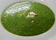 Maxis Spinatsuppe