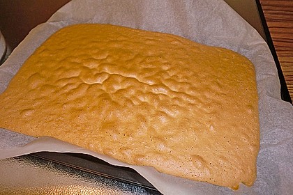 Wiener Boden, Tortenboden, Obstboden, Obstkuchen 3