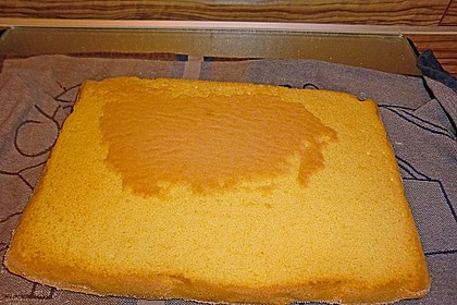 Wiener Boden, Tortenboden, Obstboden, Obstkuchen 4
