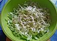 Einfacher Kohlsalat