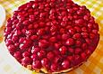 Frischk&auml;setorte mit Kirschen