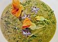 Borretschsuppe mit Rucola und Parmesan