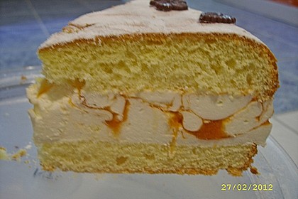 Marillen-K&auml;se-Sahne-Torte