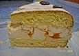 Marillen-K&auml;se-Sahne-Torte