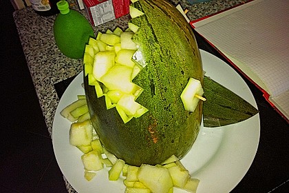Melonen-Hai 2