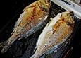 Dorade mit Tomatengem&uuml;se