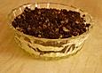 Oreo-Blumentopferde