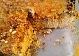 Schmackhafter Reis-Hackfleisch- Auflauf