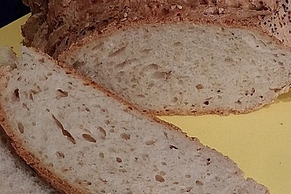 Annas knuspriges Joghurtbrot mit Vollkorn 6