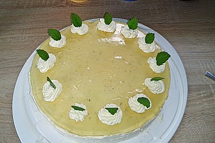 Hugo-Torte 28