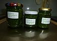 Brennnessel-B&auml;rlauch Pesto