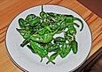 Pimientos de Padron