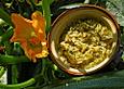Zucchini-Relish mit Rosmarin