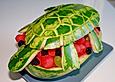 Melonen-Schildkr&ouml;te