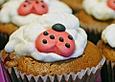Schokoladen Cupcakes mit Kirschen