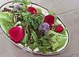 Sommersalat mit Rosenbl&uuml;ten