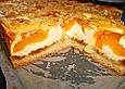 Aprikosen-Quark-Blechkuchen