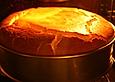 Kristinas K&auml;sekuchen mit Aprikosen