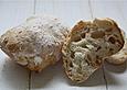 Ciabatta-Br&ouml;tchen