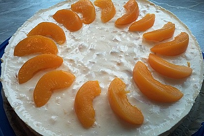 Philadelphia Torte Multivitamin 1
