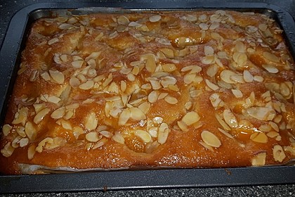 Altenburger Mandarinenkuchen 24