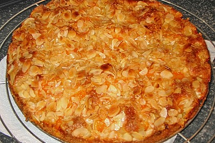 Altenburger Mandarinenkuchen 30