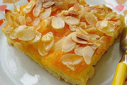 Altenburger Mandarinenkuchen 1