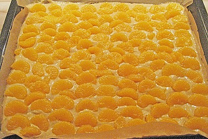 Altenburger Mandarinenkuchen 48