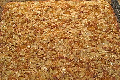 Altenburger Mandarinenkuchen 38
