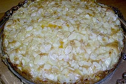Altenburger Mandarinenkuchen 47