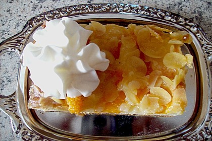 Altenburger Mandarinenkuchen 14