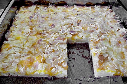 Altenburger Mandarinenkuchen 45