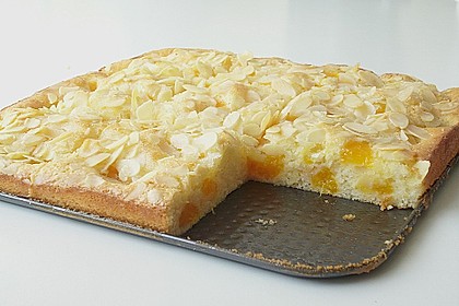Altenburger Mandarinenkuchen 9