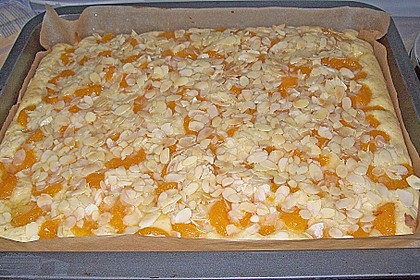 Altenburger Mandarinenkuchen 37