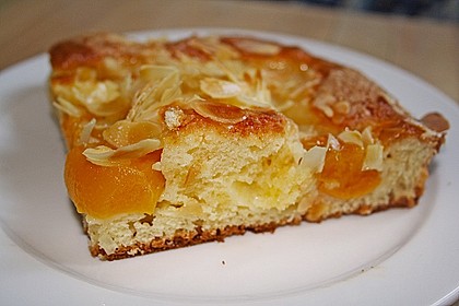 Altenburger Mandarinenkuchen 5