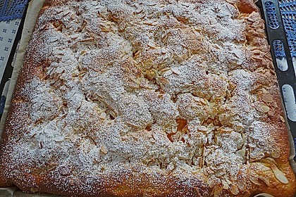 Altenburger Mandarinenkuchen 21