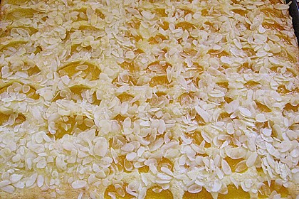 Altenburger Mandarinenkuchen 28