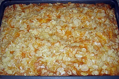 Altenburger Mandarinenkuchen 25
