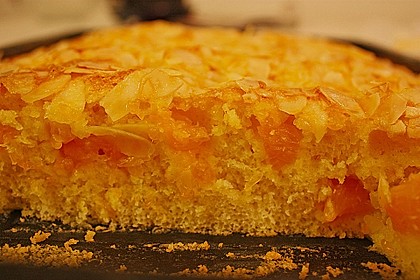 Altenburger Mandarinenkuchen 40