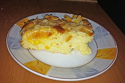 Altenburger Mandarinenkuchen 19