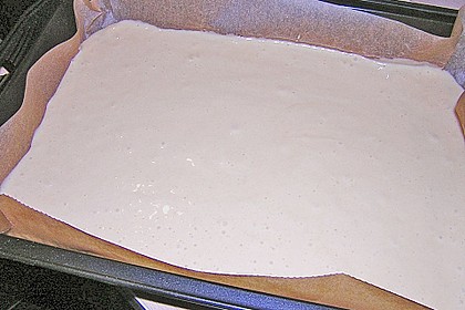 Altenburger Mandarinenkuchen 46