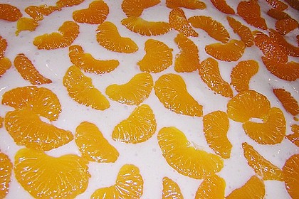 Altenburger Mandarinenkuchen 44