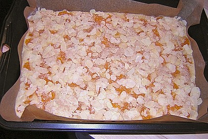 Altenburger Mandarinenkuchen 49