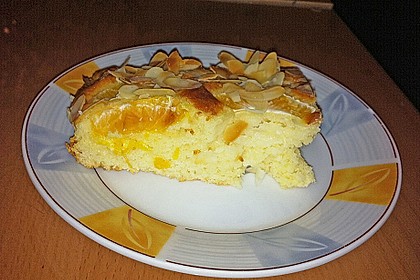 Altenburger Mandarinenkuchen 27