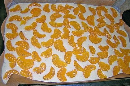 Altenburger Mandarinenkuchen 42