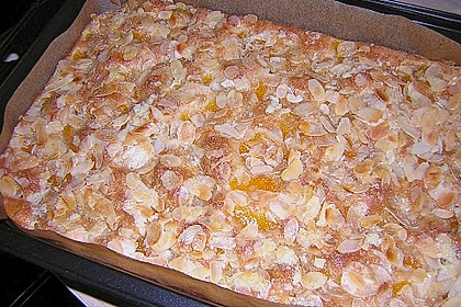 Altenburger Mandarinenkuchen 41