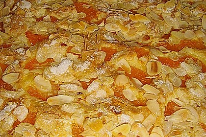 Altenburger Mandarinenkuchen 26