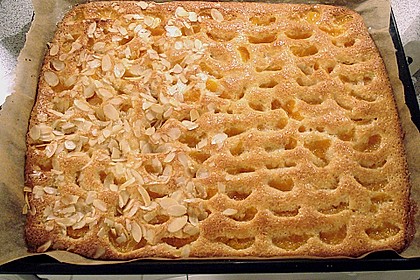 Altenburger Mandarinenkuchen 23