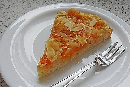 Altenburger Mandarinenkuchen 3